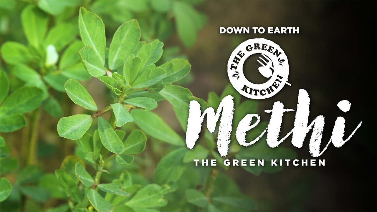Why is the mighty Methi called the powerhouse of nutrition? | The Green Kitchen
