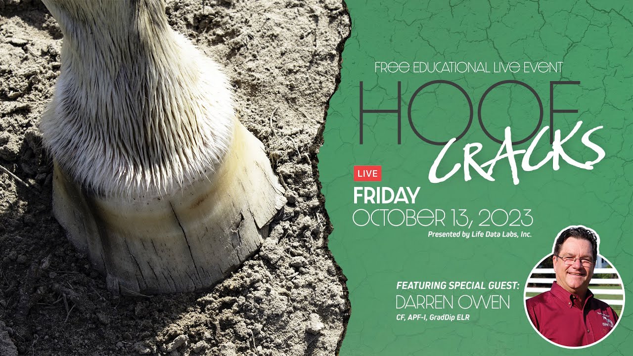 Hoof Cracks