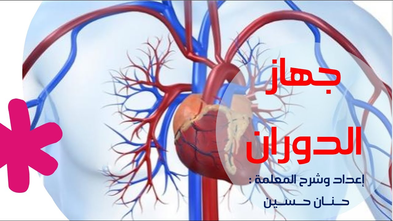 الصف السادس : جهاز الدوران