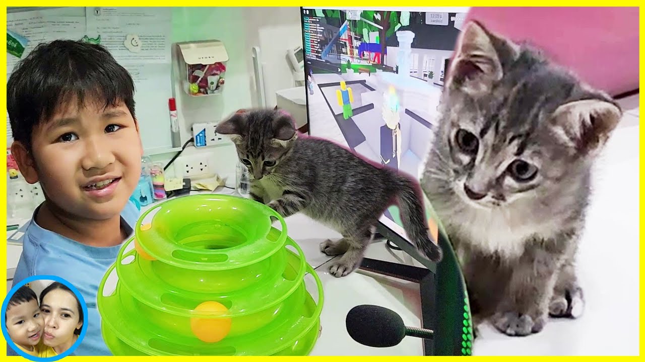 น้องบีมโดนแมวป่วน