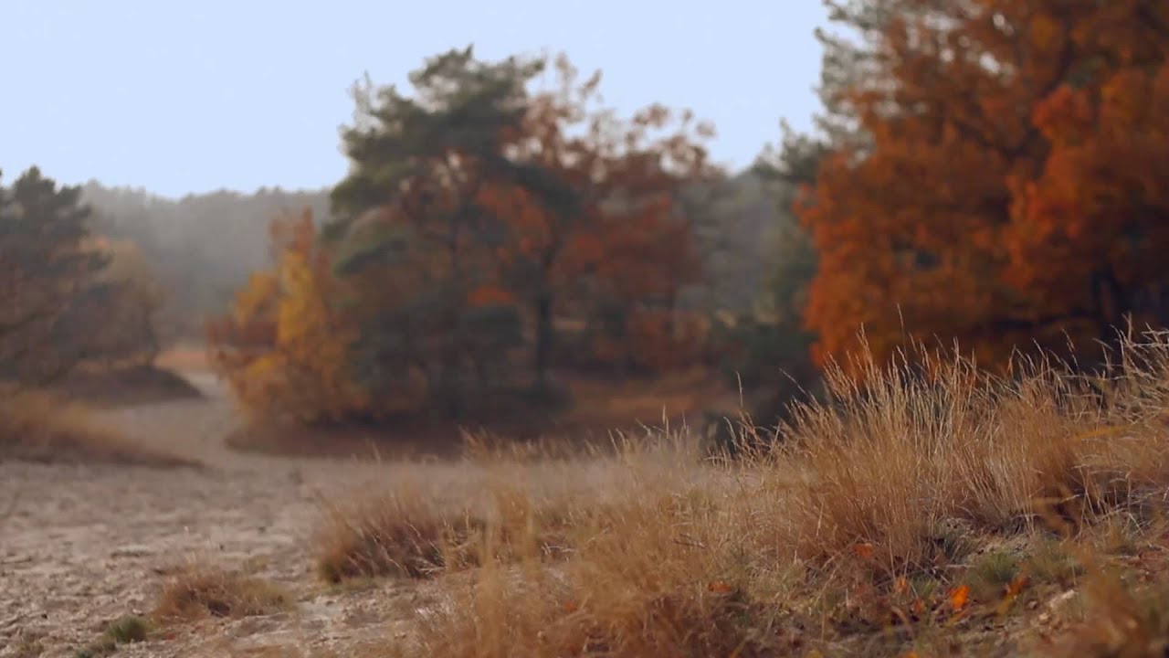 North Brabant European Economic Region Awardee for 2014, short video