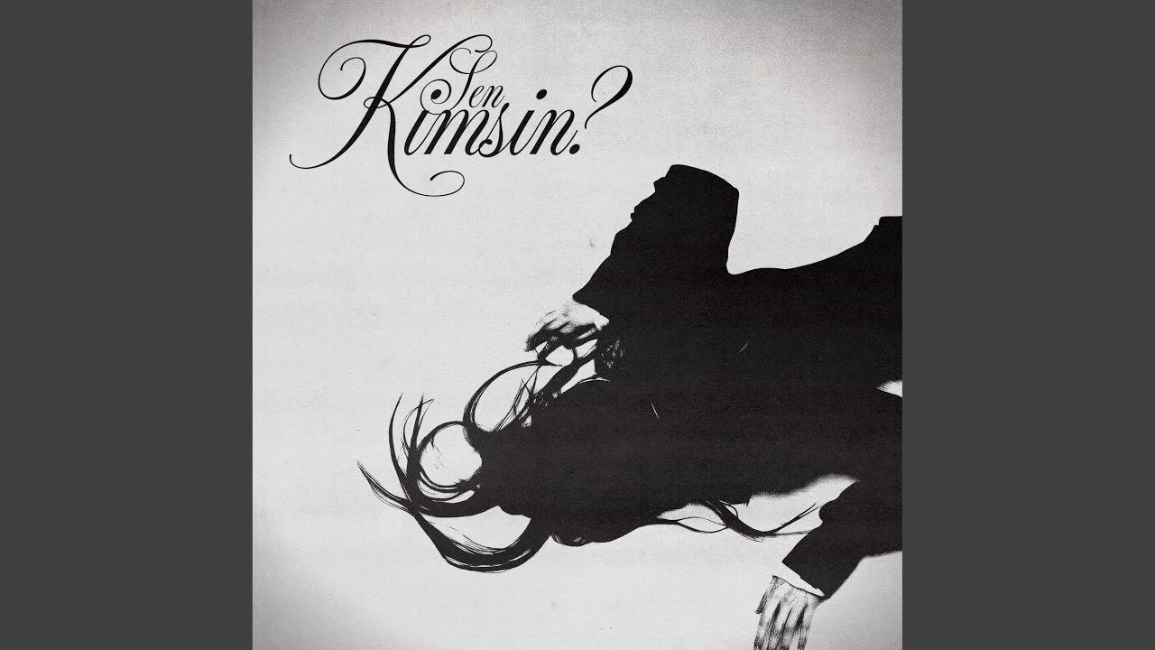 Sen Kimsin?