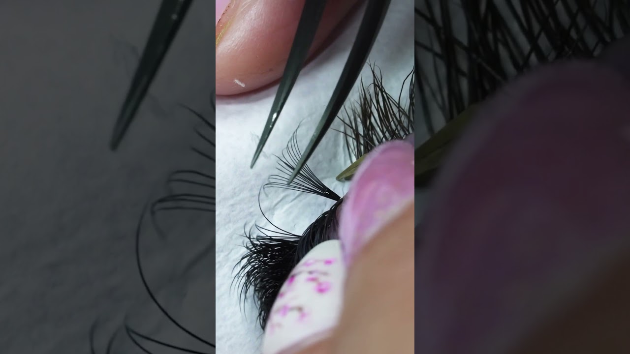 Mega Volume Lashes using @LostArtistryLash pre-fans 🤍 #lashes