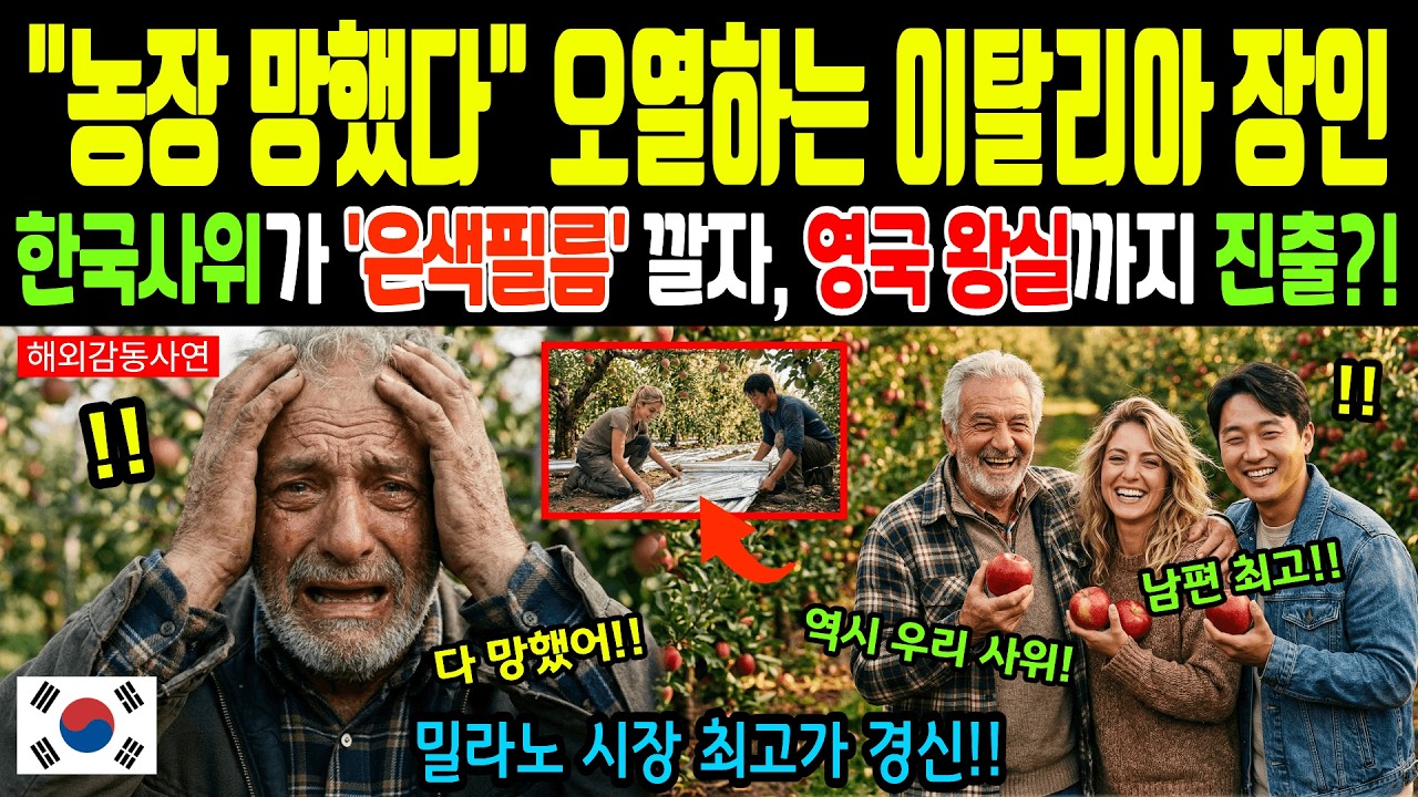 [해외감동사연] 