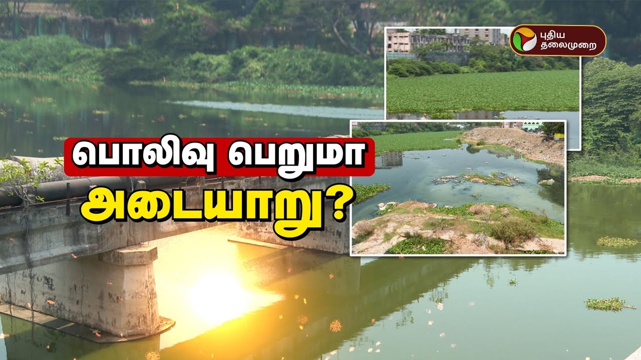 பொலிவு பெறுமா அடையாறு? | Cooum River | Adyar