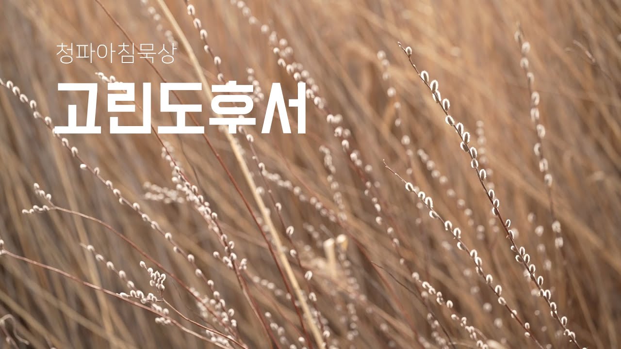 260129(목) 고린도후서 4:8-10