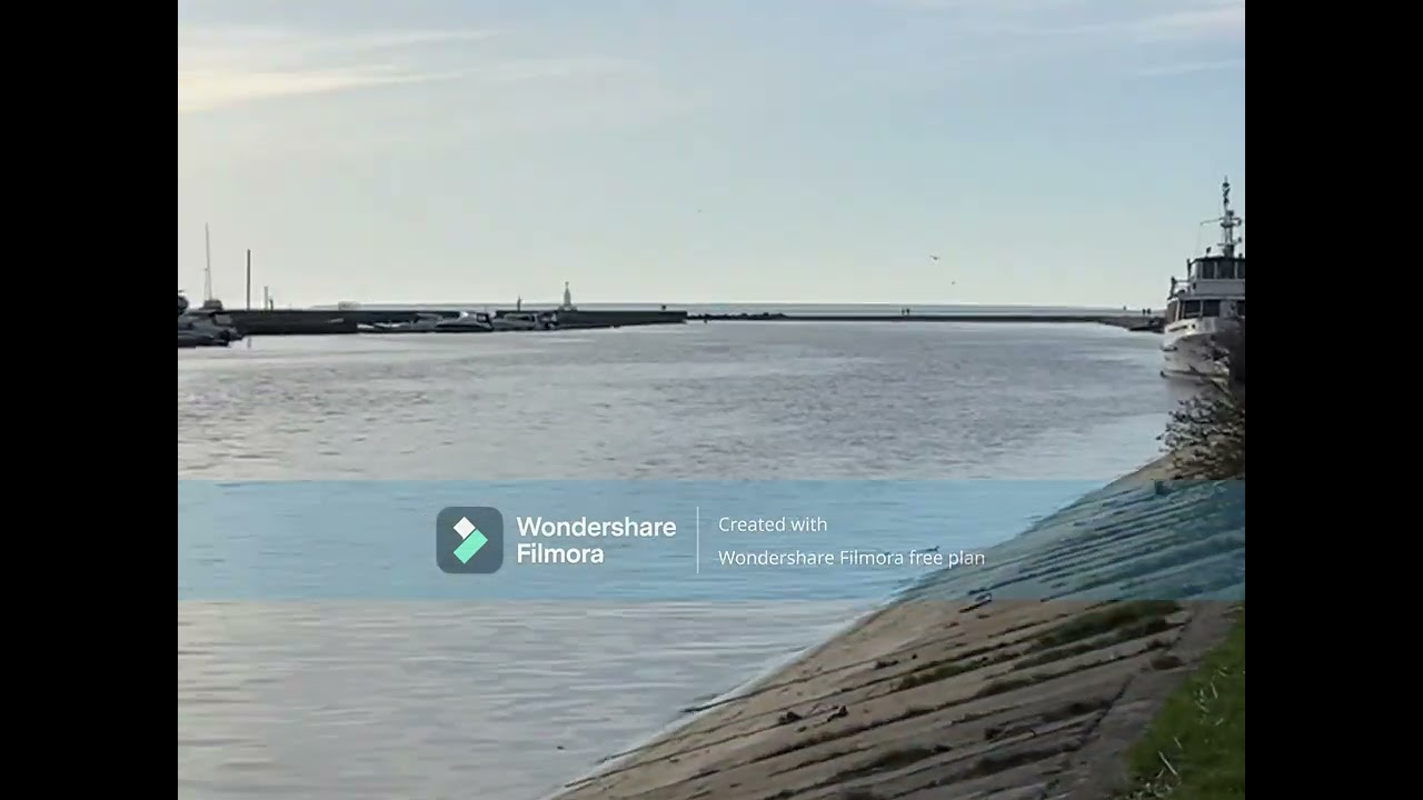 Meri,j&otilde;gi,veelinnud,veetaimed
