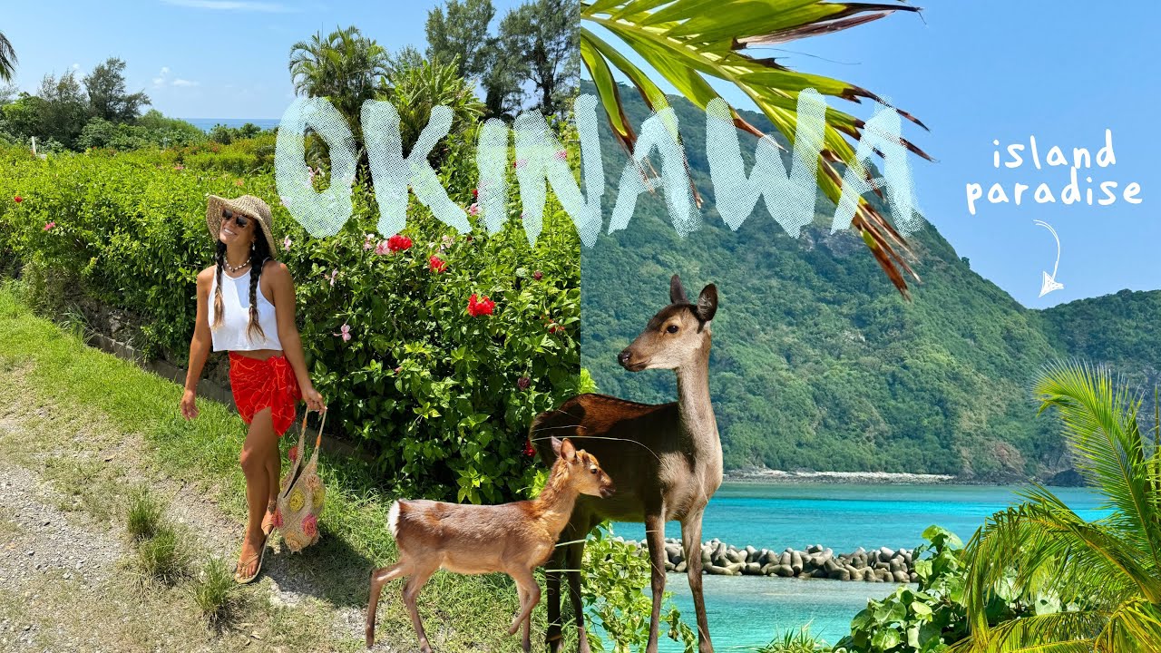 Лето на Окинаве | исследование островов Керама 🪸🦌🏝️