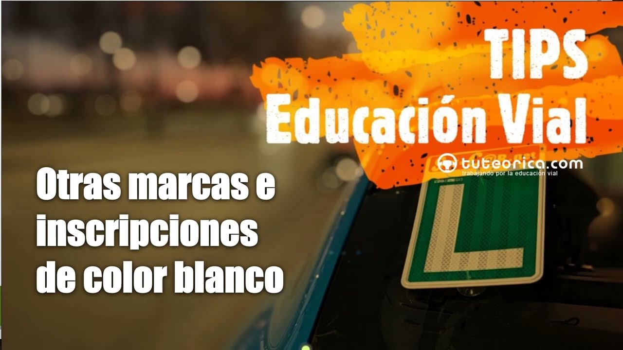 Otras marcas viales blancas. Diccionario vial para la teórica del permiso o carné de conducir.