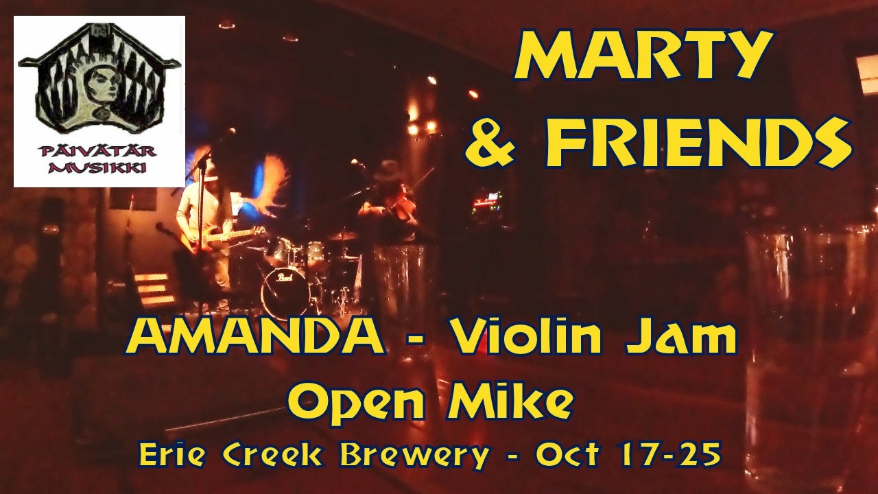 VIOLIN JAM -  AMANDA  #violin #viola #flute #electricguitar  #electricguitar