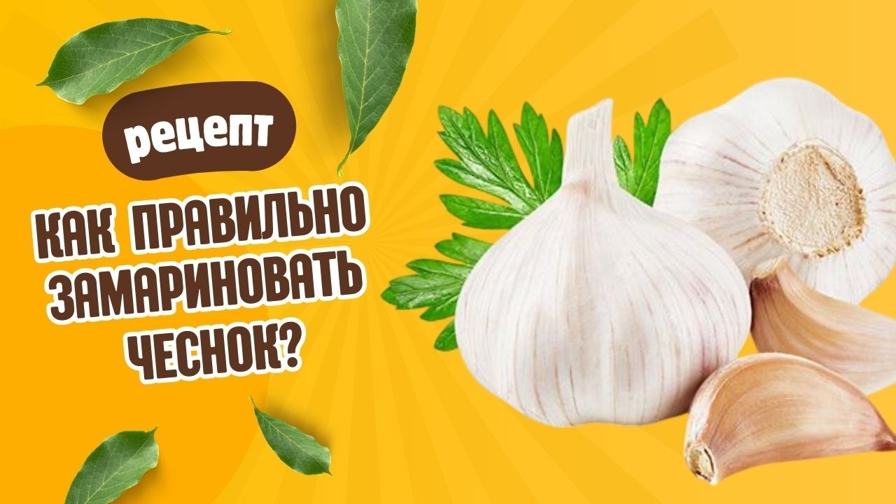 МАРИНУЕМ ЧЕСНОК! Как правильно сделать универсальную закуску? Пошаговая инструкция @ZvezdnayaDacha