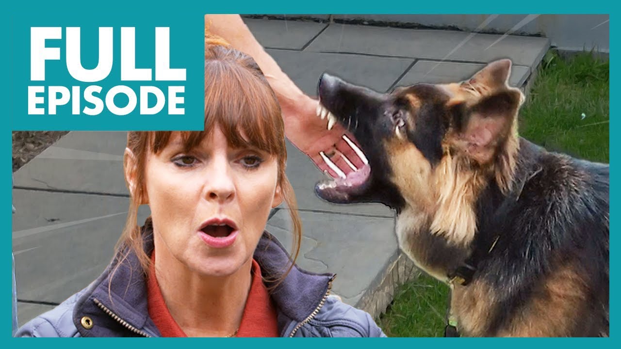 'HELL RAISING' German Shepherd is Out of Control!😱 | Full Episode | It's Me or the Dog