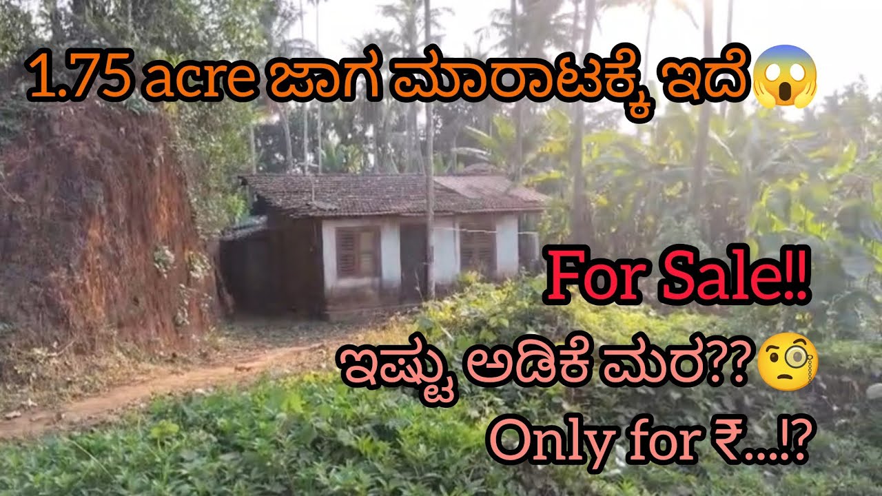 1.75 acre Property for Sale😨 #youtube #viral #property #home #land #viralvideo #realestate #sale 