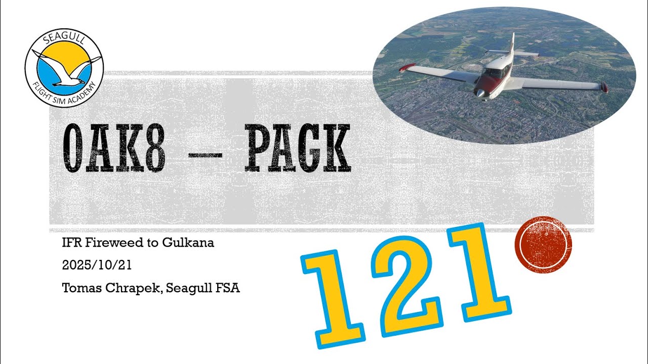 VOR Approach DME Arc | IFR Fireweed to Gulkana | Group Flight 121