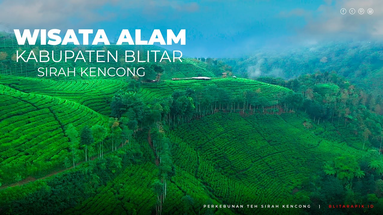 Perkebunan Teh Sirahkencong  Jadi Tempat Wisata Apik di Blitar