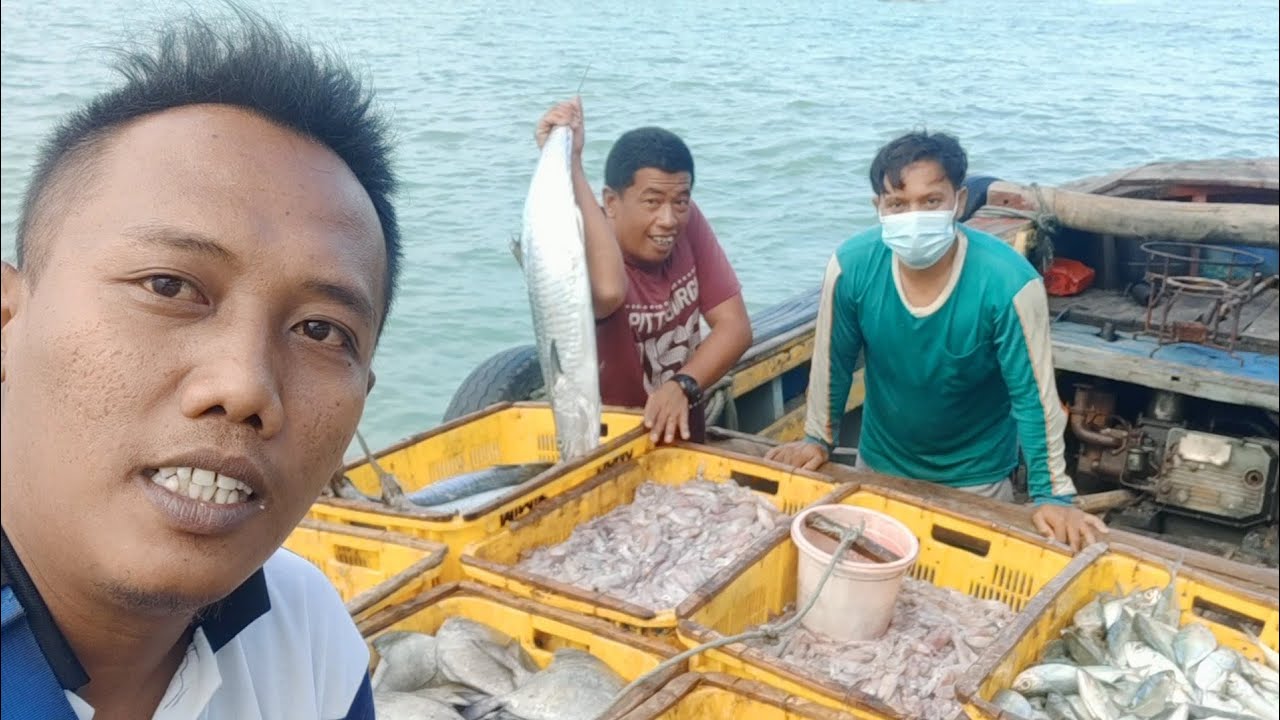 Bongkar!! Review Hasil Tangkapan Nelayan Tradisional Selama 5 Hari Melaut - Nelayan Story
