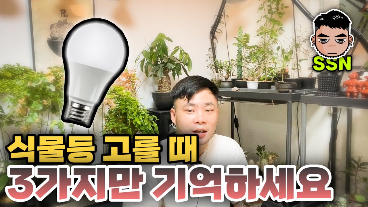 식물등 식물램프 식물 생장등 여튼 뭐라 부르든 간에 고르는 법 ! Lux? PPFD?