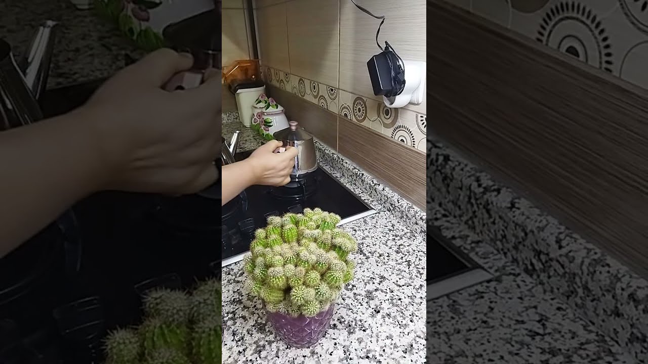 MUTFAK kanalı canlı yayında