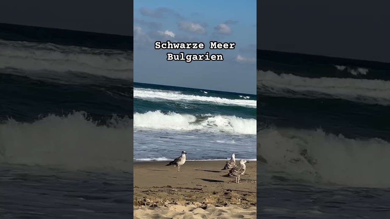 Gro&szlig;e Wellen Meer und M&ouml;wen am Schwarzen Meer Bulgarien