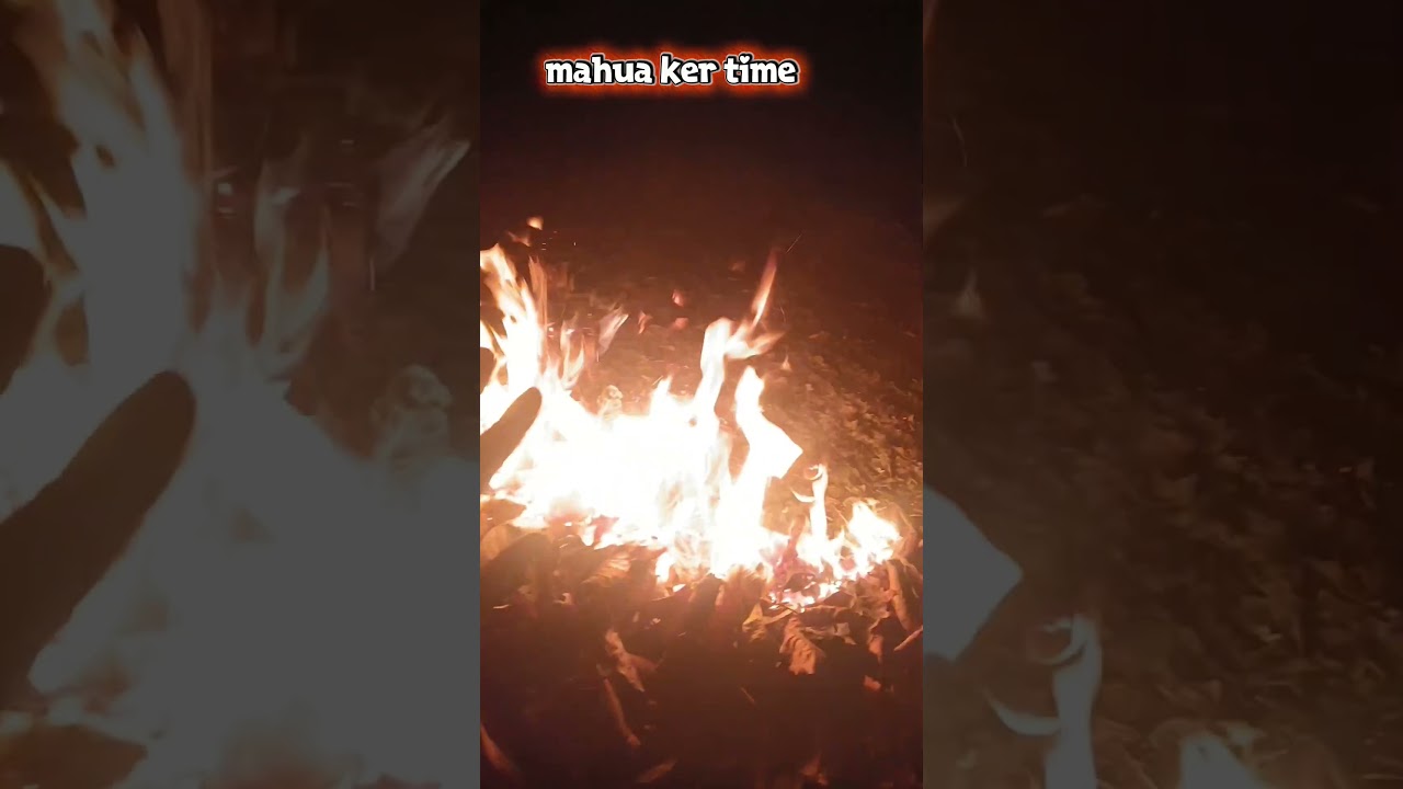 Mahua ker time #shortvideo #viralvideo #minivlog #mahua