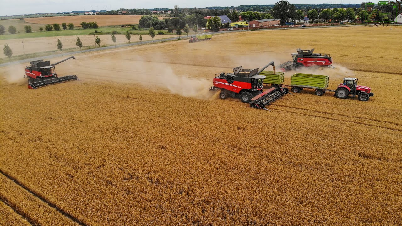 100% Massey Ferguson/ 3x Massey Ferguson Delta 9380