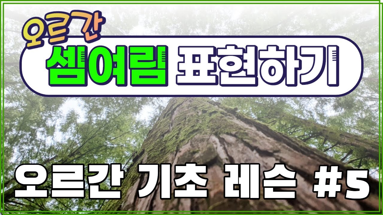 [오르간 기초 이론 레슨 #5] 오르간의 셈여림 ㅣ 오르간 음량 조절 방법