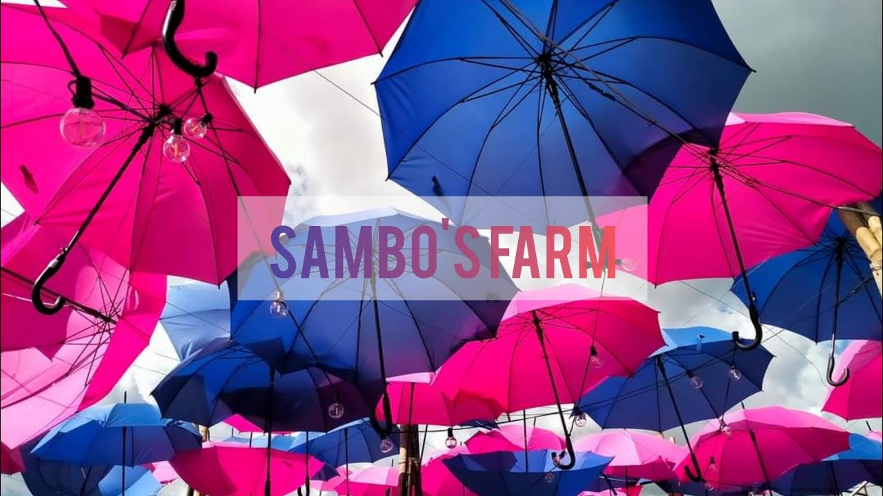 Sambo's Farm | Magarao Tourist Spot | Ysa's Style