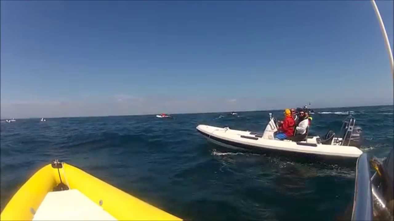 Grand Nord 2015   Port la Foret - Les Glénans