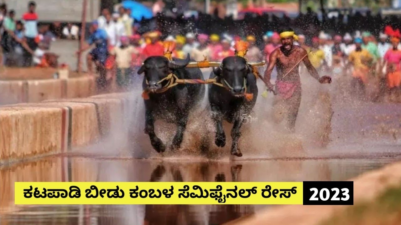 Katapadi Beedu Kambala Semi-final Race 2023 | Namma Kambala