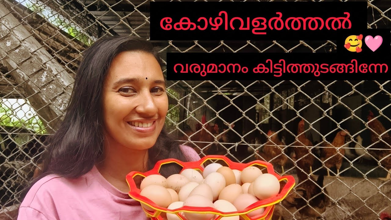 കോഴിവളർത്തൽ.. അങ്ങനെ വരുമാനം കിട്ടിതുടങ്ങീന്നേ 😊😊😊#മുട്ട കേടാവാതെ എങ്ങനെ സൂക്ഷിക്കാം #farming life😊