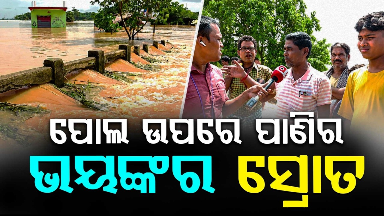 ପୋଲ ଉପରେ ପାଣିର ଭୟଙ୍କର ସ୍ରୋତ | Odisha Flood : Bridge Submerged Under Massive Currents | Argus News
