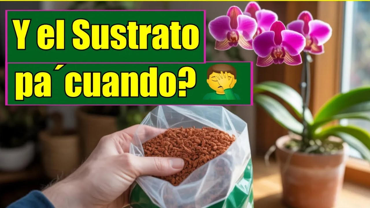 А СУБСТРАТ? КОГДА вы собираетесь его смешивать?