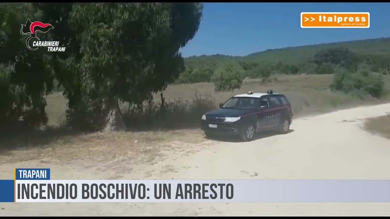 Trapani: incendio boschivo, un arresto