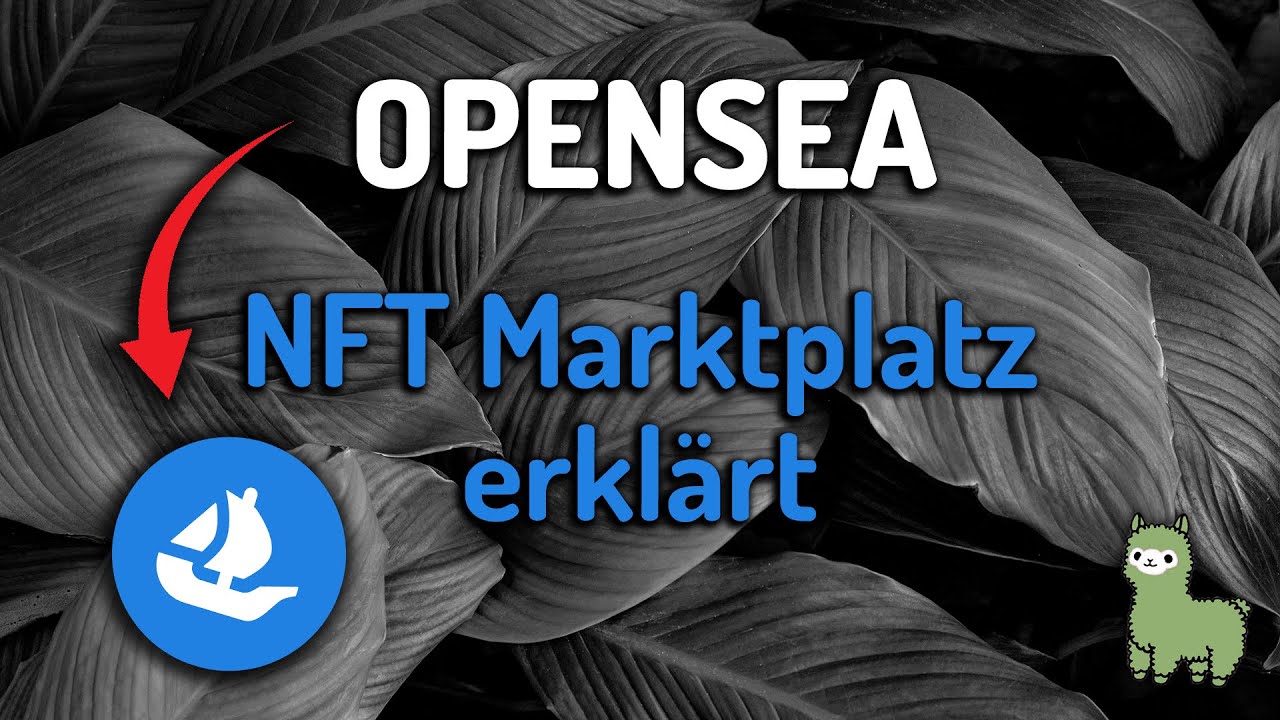 NFT Handel leicht gemacht - Opensea erkl&auml;rt - Cryptomalinka - Crypto Deutsch