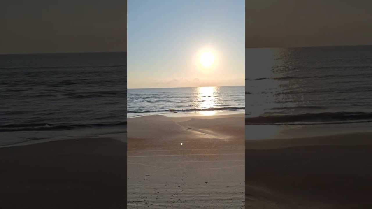 #shorts #sunrise #florida #floridasunshine