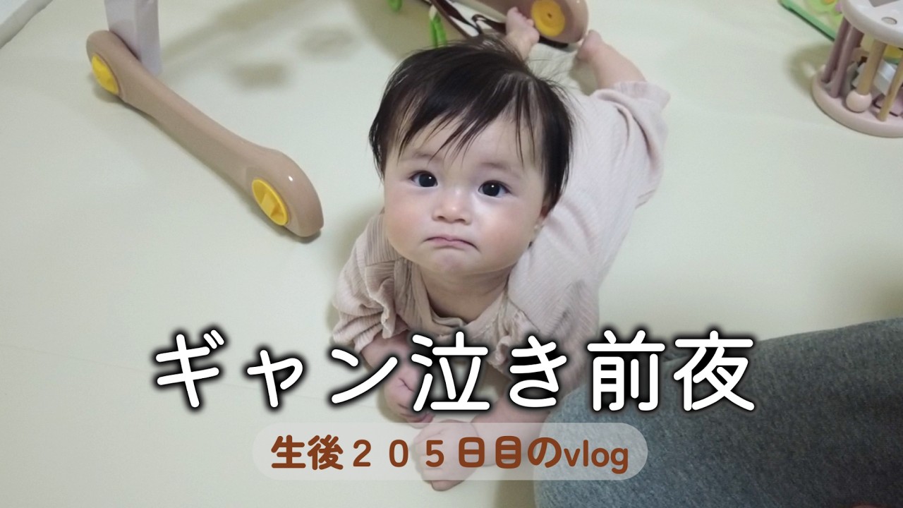 生後205日目 ギャン泣き前夜｜里帰りなし,1LDK,完母育児,生後6ヶ月,vlog