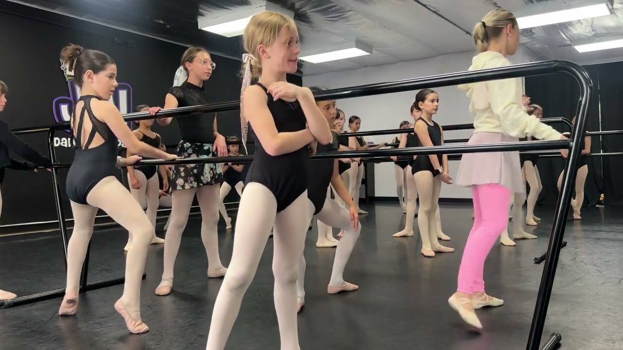 Ballet class, beginners ( basics only )