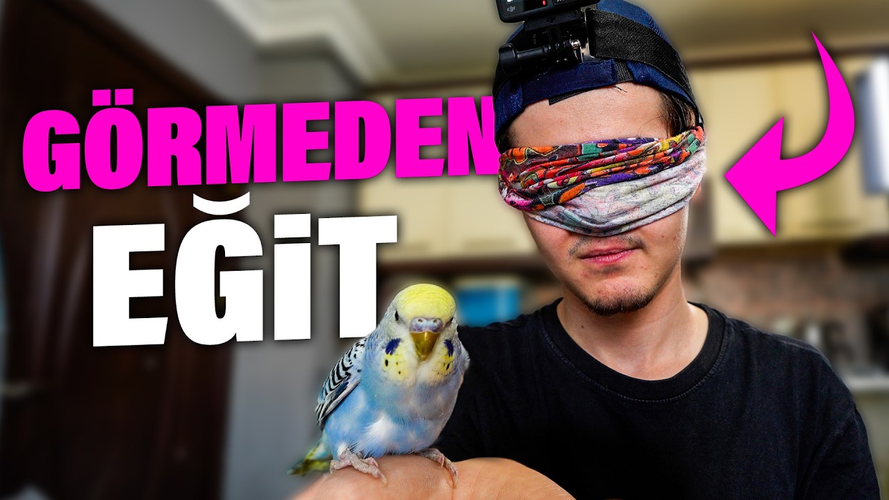 GÖRMEDEN EĞİTTİM - 2 Günde Görmeden Muhabbet Kuşu Eğitimi