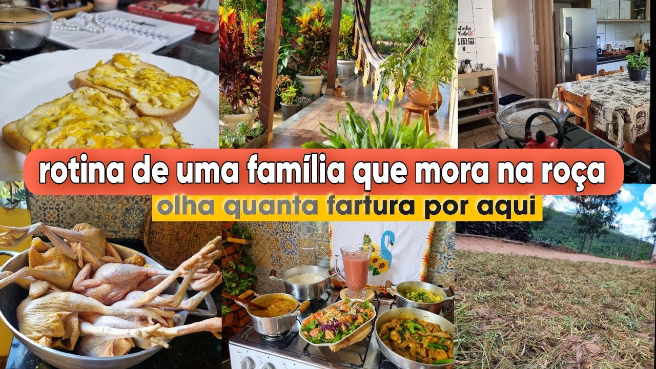 Dois DIAS com a GENTE/colhemos o FEIJÃO / galinhas pra VENDER/ COMIDA caseira/ cuidados no LAR