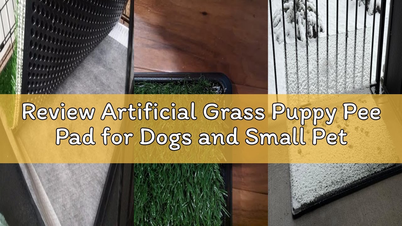 Review Artificial Grass Puppy Pee Pad for Dogs and Small Pets - 16x20 Inch, Reusable 3-Layer Potty T