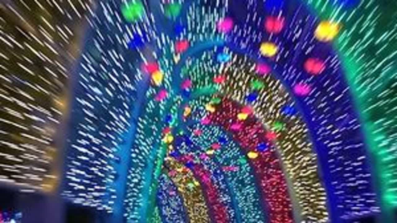 时空穿梭 这就是穿越机fvp的魅力#奇迹花园 #浦江郊野公园 #fpv #avata2 #旅行推荐官