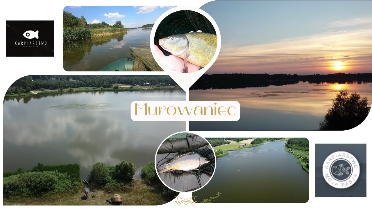 🎣 **5 dni czekania na karpia. Woda PZW Murowaniec uczy mnie cierpliwości :)🎣🌲**