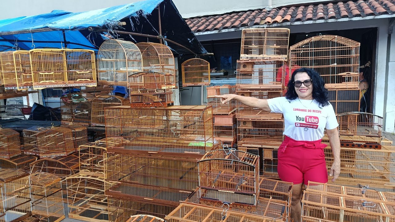 GAIOLAS, PÁSSAROS E BOAS NOVIDADES NA FEIRA DO CORDEIRO RECIFE/PE.