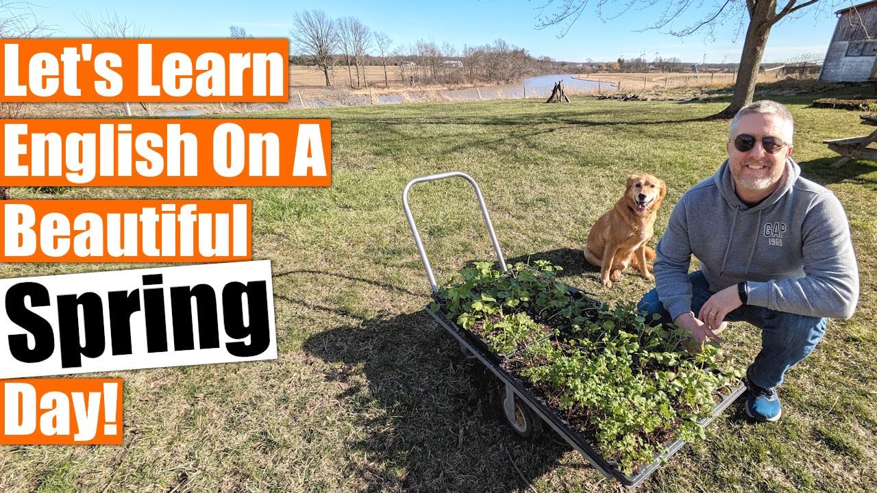 Learn English on a Beautiful Spring Day! 🍃🌱🐣
