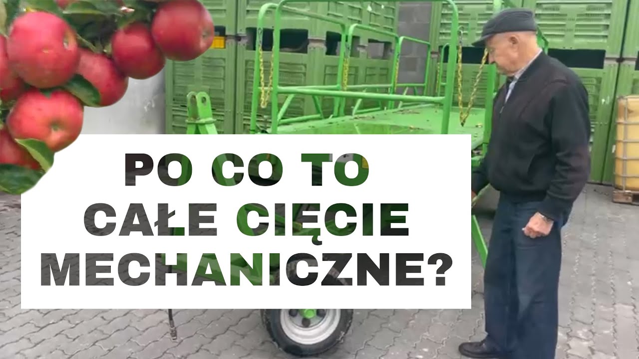 Efekty cięcia listwą sadowniczą u odmiany Najdared - Komunikat Sadowniczy Piotr Gościło