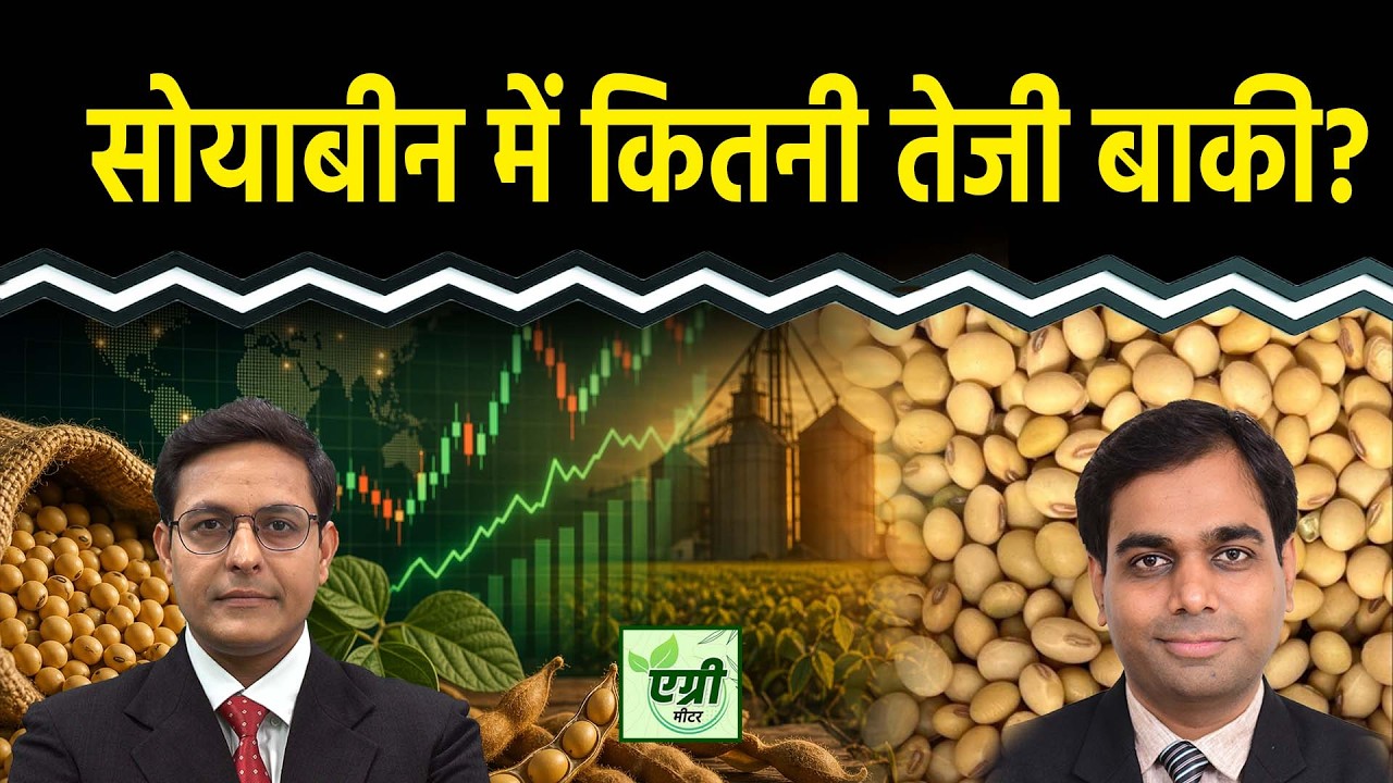 Agri Commodity : शॉर्ट टर्म में क्या है सोयाबीन का प्राइस आउटलुक? Commodity Market | NCDEX