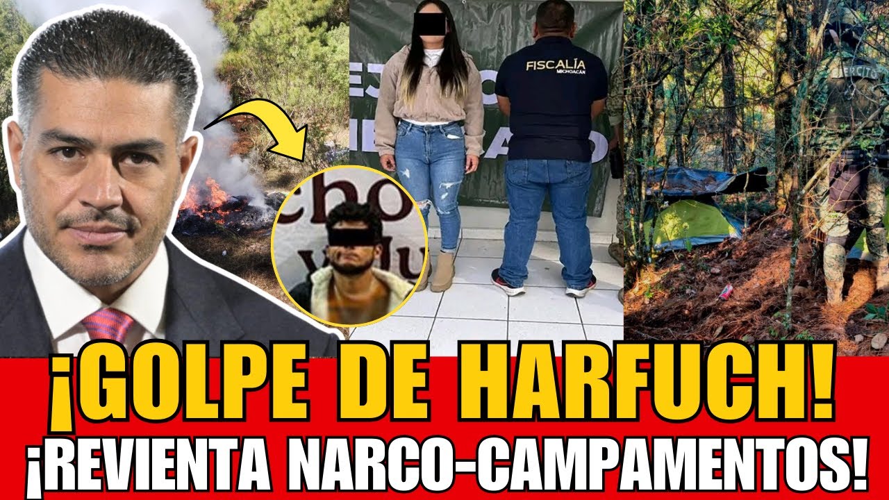 ¡GOLPE DE HARFUCH EN MICHOACÁN! | DESMANTELAN 3 NARCO-CAMPAMENTOS Y DETIENEN A 9