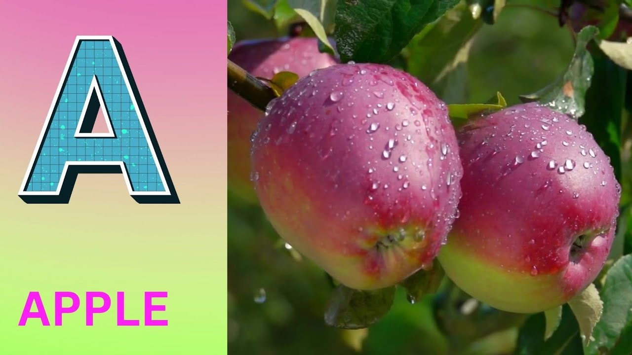 Песенка про фонетику алфавита | Звуки букв алфавита | Изучение алфавита для малышей | Детские пес...