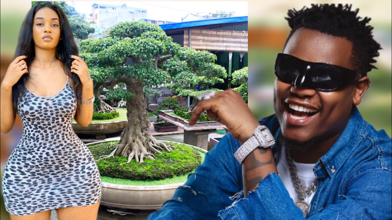 YAGAHUNDA _ Bruce Melodie(official video)