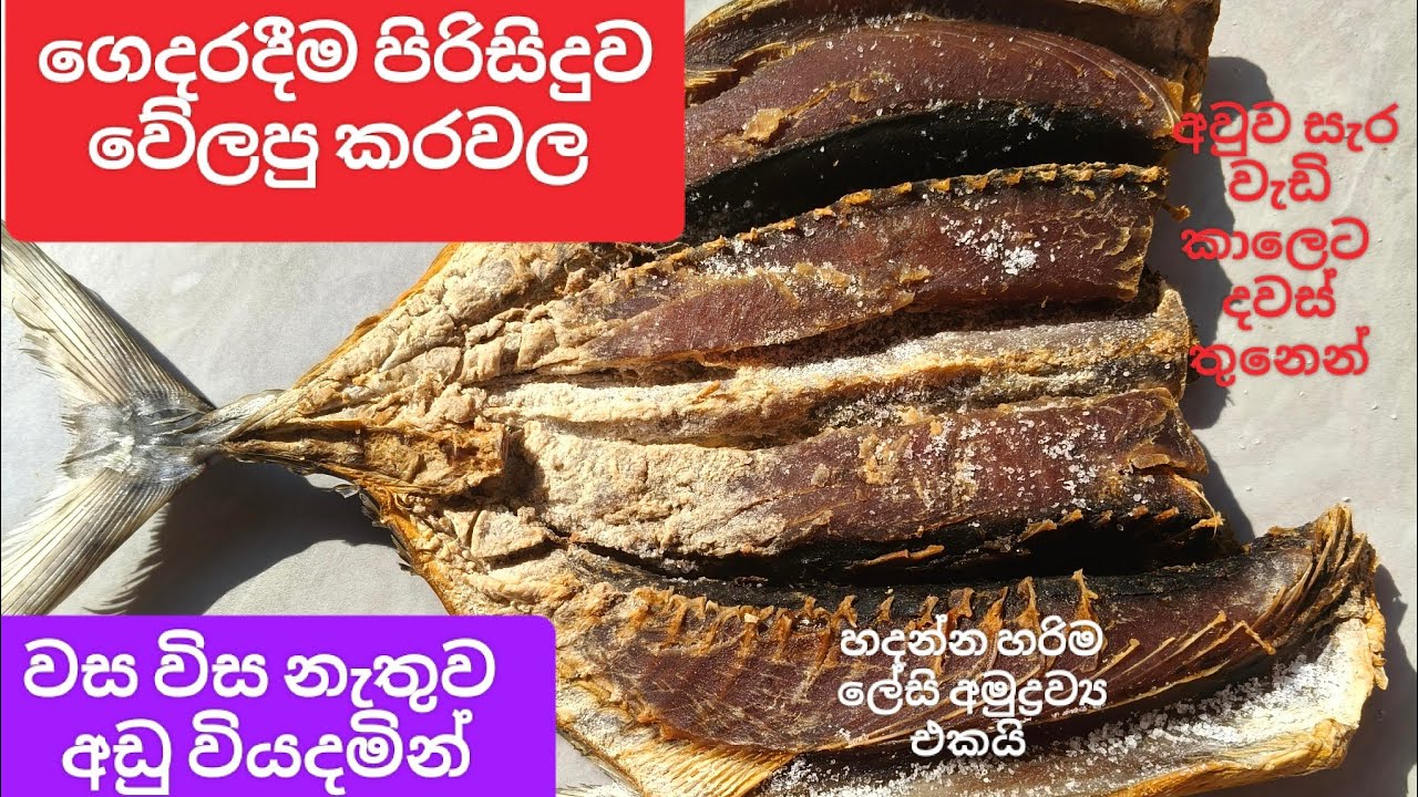 ✅කරවල ගෙදරදීම වේලමු 😊වස විස නෑ.අඩු වියදමින්#cooking #dryfishrecipe #dryfish